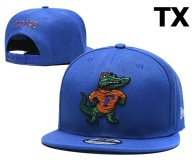 NCAA Florida Gators Snapback Hat (21)