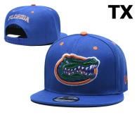 NCAA Florida Gators Snapback Hat (19)