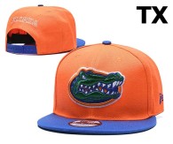NCAA Florida Gators Snapback Hat (20)