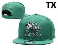 NCAA Notre Dame Fighting Irish Snapback Hat (2)