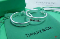Tiffany Earrings (125)