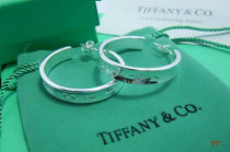 Tiffany Earrings (125)