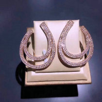 Tiffany Earrings (6)