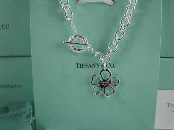 Tiffany Necklace (415)