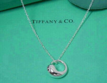 Tiffany Necklace (613)