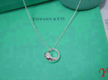 Tiffany Necklace (313)