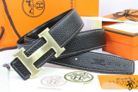 Hermes Belt AAA (35)