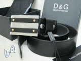 D&G Belt AAA (19)