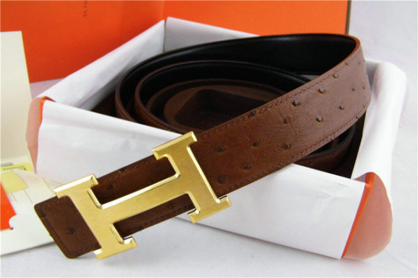 Hermes Belt 1:1 Quality (630)