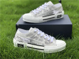 Dior Low Shoes (1)
