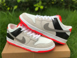 Authentic Nike SB Dunk Low “Infrared” GS