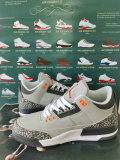 Air Jordan 3 Shoes AAA (65)