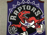 Toronto Raptors Jersey (1)