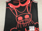Chicago Bulls #23 NBA Jersey