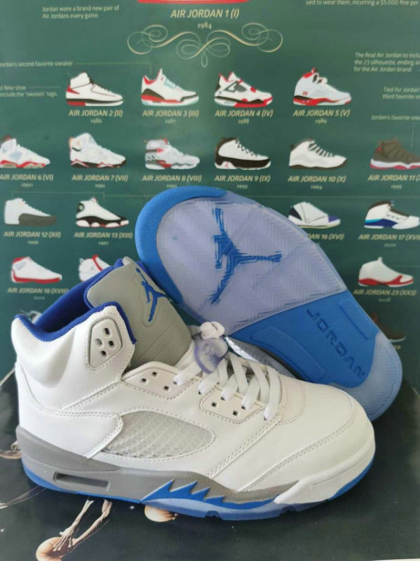 Air Jordan 5 shoes AAA (69)