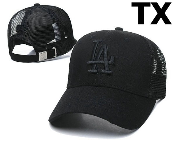 MLB Los Angeles Dodgers Snapback Hat (289)