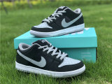Authentic Nike SB Dunk Low J-Pack “Shadow”