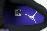 Authentic Air Jordan 12 “Dark Concord”