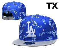 MLB Los Angeles Dodgers Snapback Hat (294)