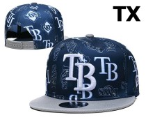 MLB Tampa Bay Rays Snapback Hat (14)