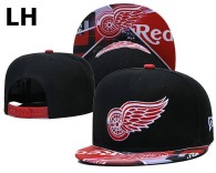 NHL Detroit Red Wings Snapback Hat (27)
