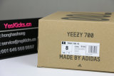 Authentic Y 700 V3 “Safflower”