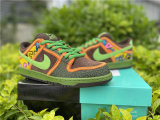 Authentic Nike SB Dunk Low GS