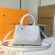 LV Handbag (301)