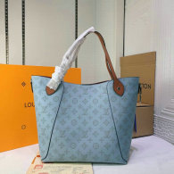LV Handbag (310)