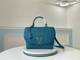LV Handbag (91)