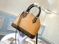 LV Handbag (101)