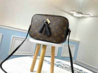 LV Handbag (5)