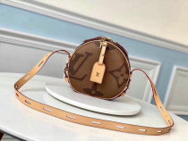 LV Handbag (210)