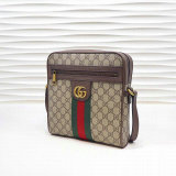 Gucci Handbag (169)
