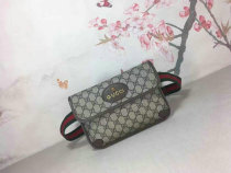 Gucci Handbag AAA (26)