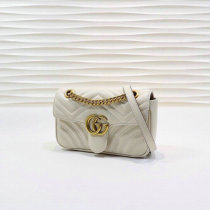 Gucci Handbag (100)
