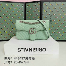 Gucci Handbag AAA (155)