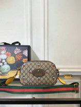 Gucci Handbag AAA (124)