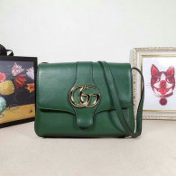 Gucci Handbag AAA (102)