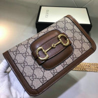 Gucci Handbag AAA (180)