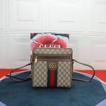 Gucci Handbag AAA (85)