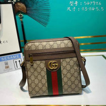 Gucci Handbag (23)