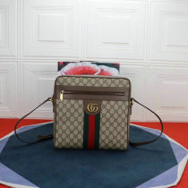 Gucci Handbag AAA (86)