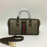 Gucci Handbag AAA (80)