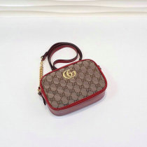 Gucci Handbag (101)