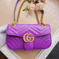Gucci Handbag AAA (118)
