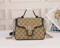 Gucci Handbag AAA (134)