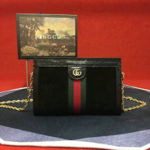 Gucci Handbag AAA (79)