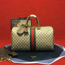 Gucci Handbag AAA (87)