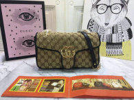 Gucci Handbag AAA (154)